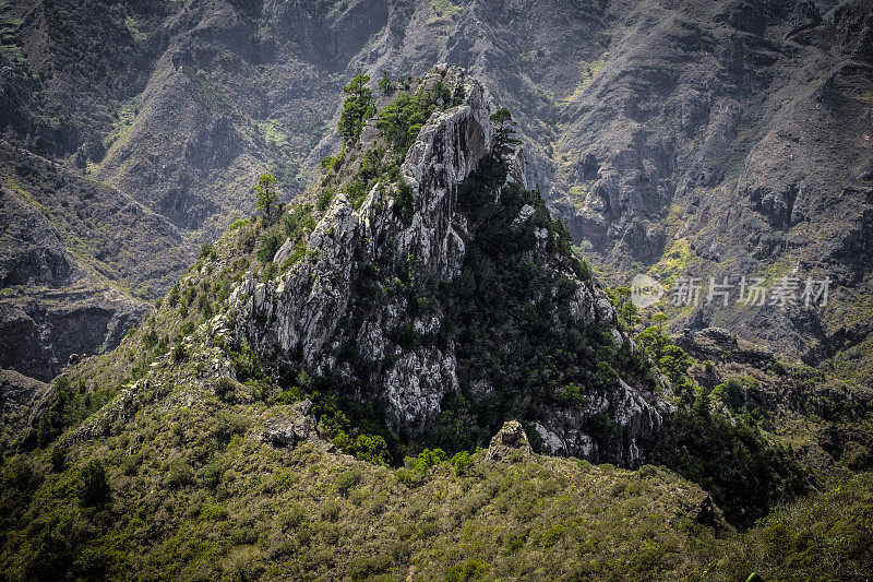 Roque de los Pinos, Chinamada, Anaga Mountains, Tenerife, Canary Islands，西班牙